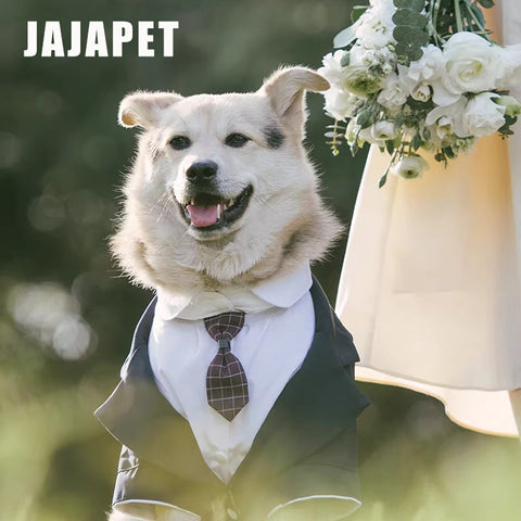 Traje-esmoquin “Gentleman” para Perros Medianos y Grandes – Estilo Formal, Ajuste Cómodo