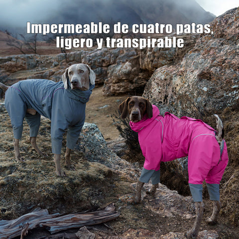 Traje impermeable de 4 patas para perros Ligero, transpirable y apto para todo clima