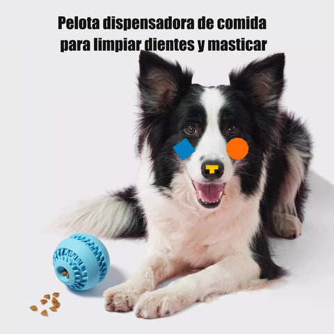 Pelota Dispensadora de Premios 2 en 1 — Limpieza Dental + Masticación Antiestrés para Perros