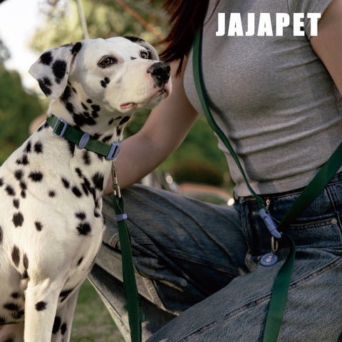 Correa 4-en-1 Manos Libres Nylon Premium, Hebilla 360° de Aluminio, Ajuste 120-200 cm para Paseos Sin Esfuerzo