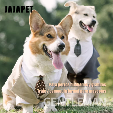 Traje-esmoquin “Gentleman” para Perros Medianos y Grandes – Estilo Formal, Ajuste Cómodo