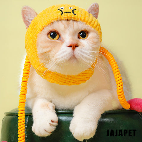 Gorro Elástico con Catnip “Serie Artista” para Gatos