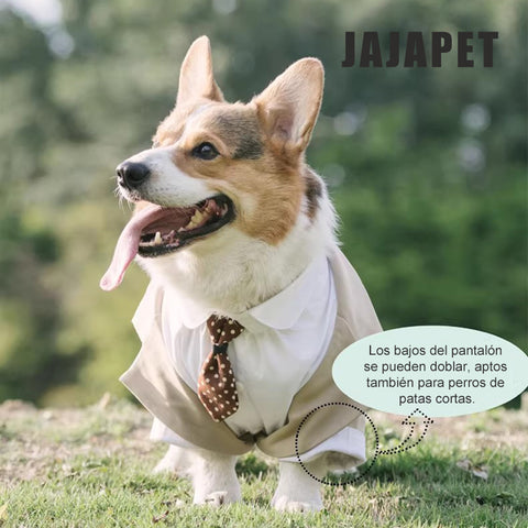Traje-esmoquin “Gentleman” para Perros Medianos y Grandes – Estilo Formal, Ajuste Cómodo