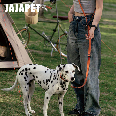 Correa 4-en-1 Manos Libres Nylon Premium, Hebilla 360° de Aluminio, Ajuste 120-200 cm para Paseos Sin Esfuerzo