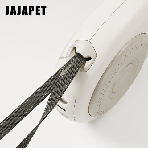 Correa Extensible 5 m con Luz LED y Cinta Reflectante, Soporta 50 kg