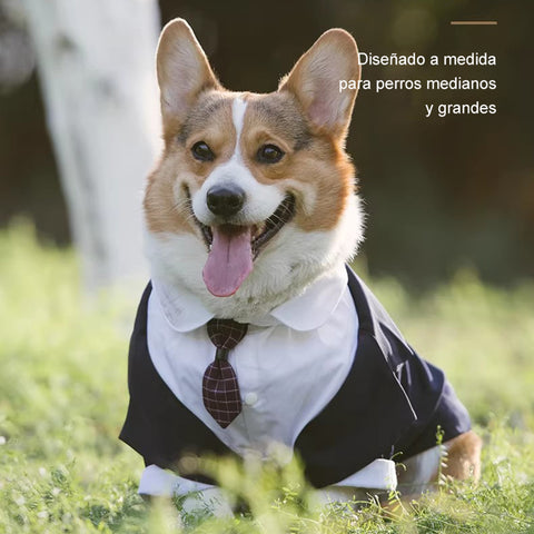 Traje-esmoquin “Gentleman” para Perros Medianos y Grandes – Estilo Formal, Ajuste Cómodo