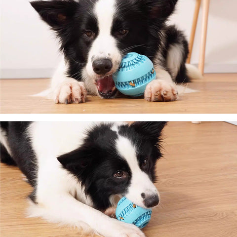 Pelota Dispensadora de Premios 2 en 1 — Limpieza Dental + Masticación Antiestrés para Perros