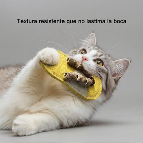 Juguete Dental de Lufa “Chancla Feliz” para Gatos – Limpieza, Diversión y Bienestar 100 % Natural