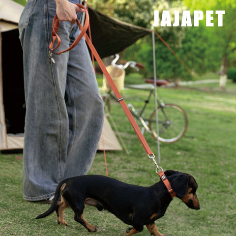 Correa 4-en-1 Manos Libres Nylon Premium, Hebilla 360° de Aluminio, Ajuste 120-200 cm para Paseos Sin Esfuerzo