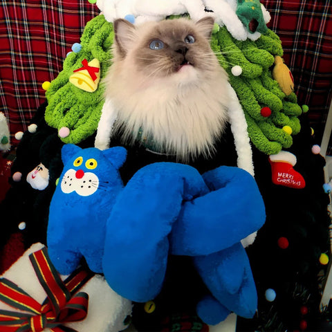 JAJAPET Juguete Interactivo 100 cm con Catnip, Campana y Papel Crujiente – Gato Azul Multiuso para Gatos y Perros