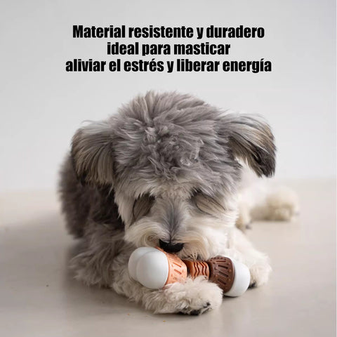 Juguete Interactivo para Perros con Premios Internos – Estimula y Relaja