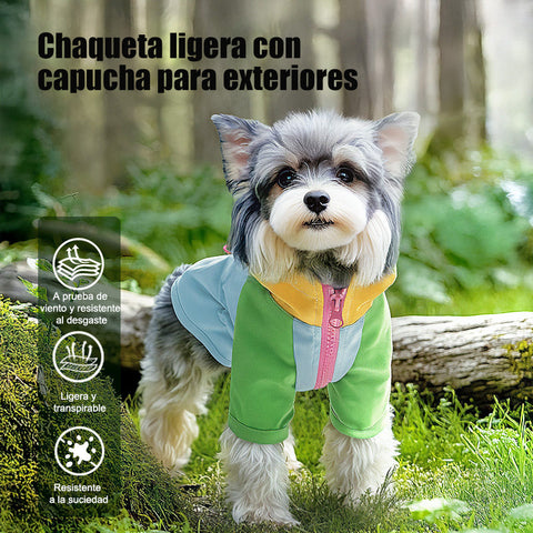 Chaqueta Cortavientos Multicolor con Capucha para Perros — Ligera, Ajustable y Antisuciedad