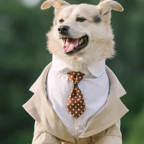 Traje-esmoquin “Gentleman” para Perros Medianos y Grandes – Estilo Formal, Ajuste Cómodo
