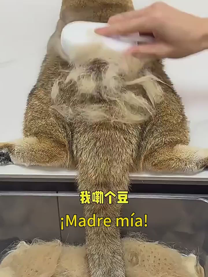 Cepillo 3 en 1 de Nano-Spray para Mascotas: Limpieza, Masaje y Deslanado Profesional