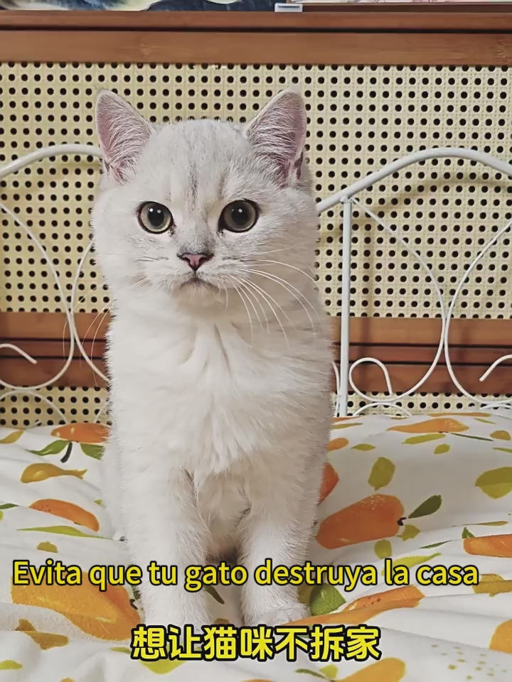 Collar Láser Inteligente para Gatos: Recargable, 2 Modos y Uso Manual | ¡Adiós al Aburrimiento!